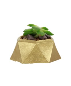 Mini Çiçek Saksı Küçük Sukulent Altın Kaktüs Saksısı Mini Poly 2 Model